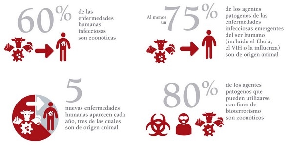 OIE: «One Health, Una sola salud» - Image 3