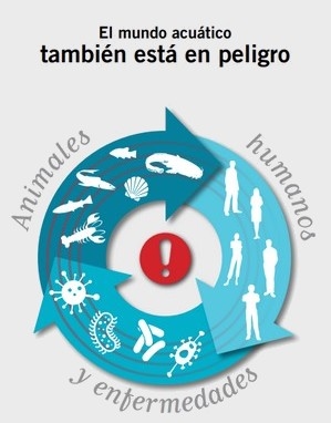 OIE: «One Health, Una sola salud» - Image 2