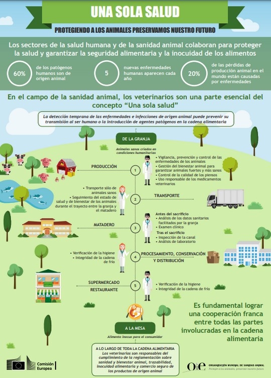 OIE: «One Health, Una sola salud» - Image 4