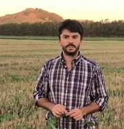 Argentina - Trigo: Qué buscan los productores a la hora de sembrar - Image 6