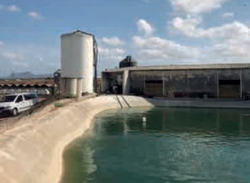 España - El sector porcino reduce 30% el consumo de agua por kilo de carne - Image 2