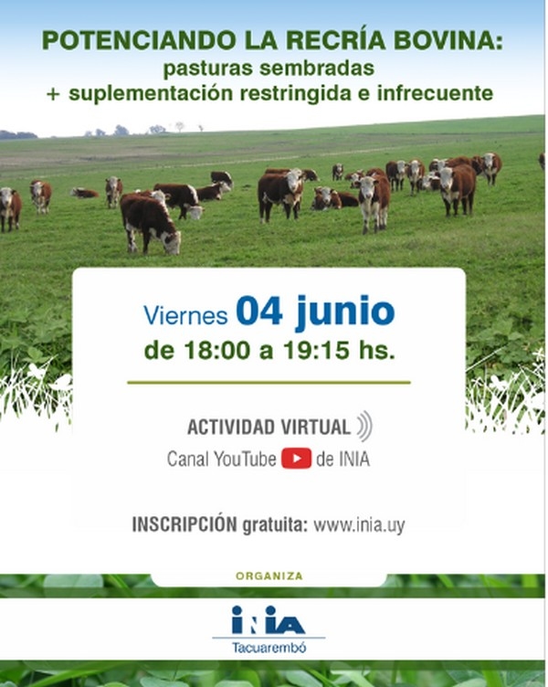 Potenciando la Recría Bovina : Pasturas Sembradas y Suplementación restringida e infrecuente - Image 1