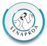 Progenitores de Aves, Pláticas técnicas de SENAPROA - Image 1