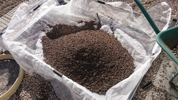 España - Llegan las granjas de insectos para alimentación animal - Image 1