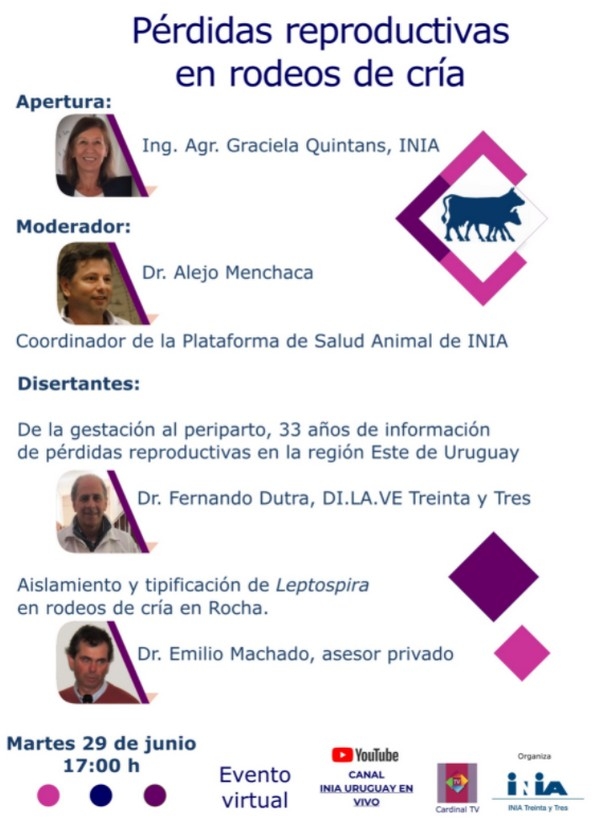 Pérdidas reproductivas en rodeos de cría INIA - Image 1