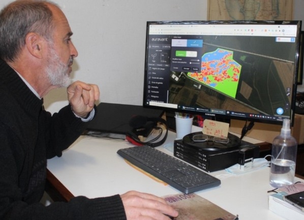 Argentina - Presentan una herramienta para ajustar la fertilización en trigo - Image 2