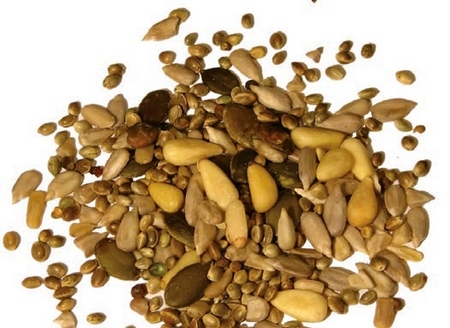 Desafíos y oportunidades: ¿Cómo es el futuro de la nutrición animal? - Image 3