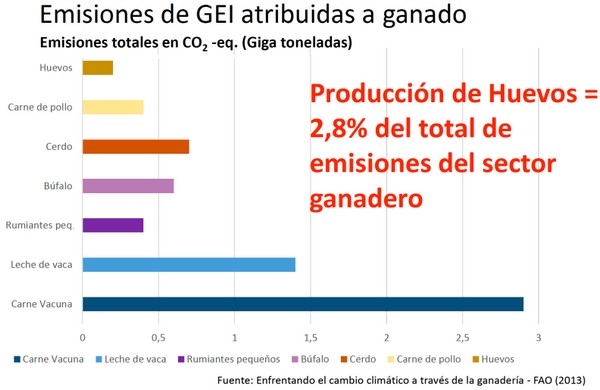 Argentina - Bienestar Animal: Informe de CAPIA a la OIE - Image 10