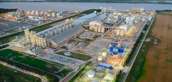 Argentina - Curso Avanzado sobre Crushing de Semillas Oleaginosas - Image 2