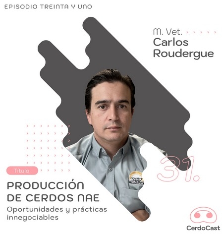 Producción de cerdos NAE: oportunidades y prácticas innegociables: CerdoCast #31 - Image 1