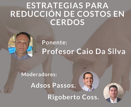 Seminario AMENA: Estrategias para reducir costos en cerdos - Image 1
