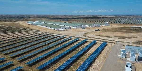 España - Inauguran granja pionera en sistema digital de alimentación y diseño de espacios - Image 1