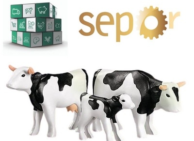 España - VII Jornada Nacional de Vacuno de Carne en SEPOR 2021 - Image 1