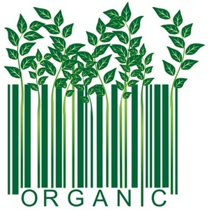 España - Crece el consumo de productos ecológicos. 96% en los últimos 4 años - Image 1