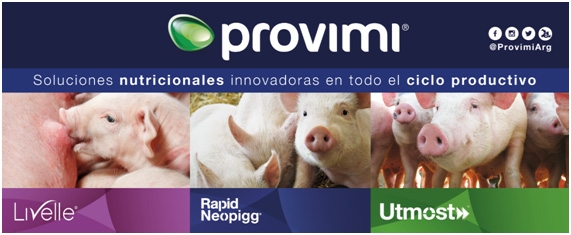 ¿Dónde estamos parados y hacia dónde debería ir la producción porcina? - Image 1