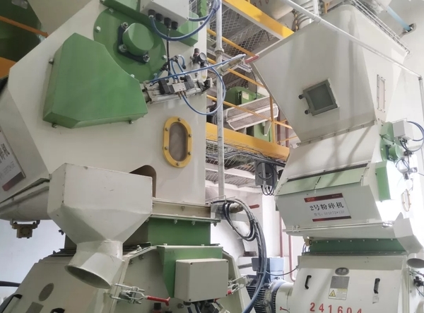 CP Group y Zhengchang cooperan en el desarrollo de la industria avícola y ganadera de Aksu - Image 3