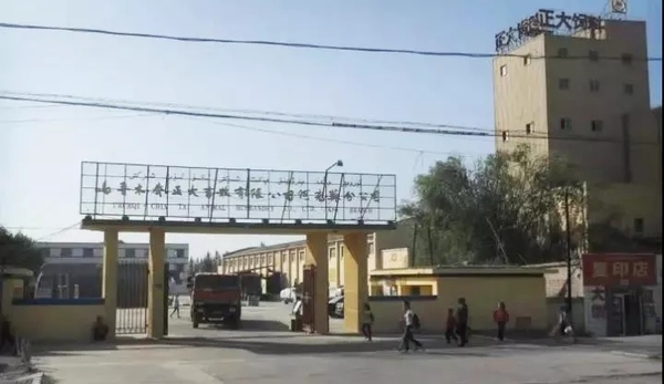 CP Group y Zhengchang cooperan en el desarrollo de la industria avícola y ganadera de Aksu - Image 2