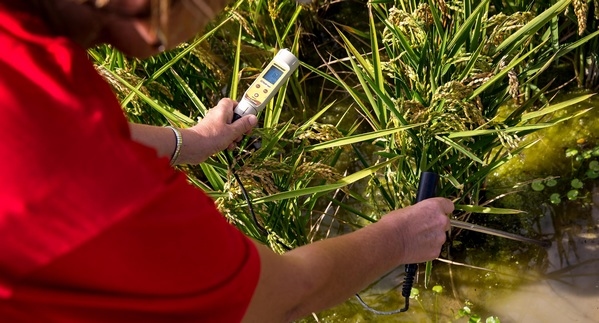 España - Cómo mitigar el cambio climático desde la agricultura - Image 4