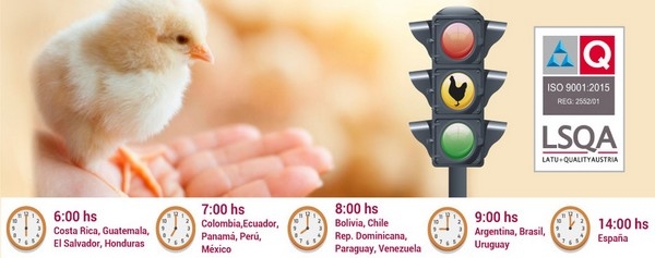 Argentina - 8ª Jornada Avícola: 