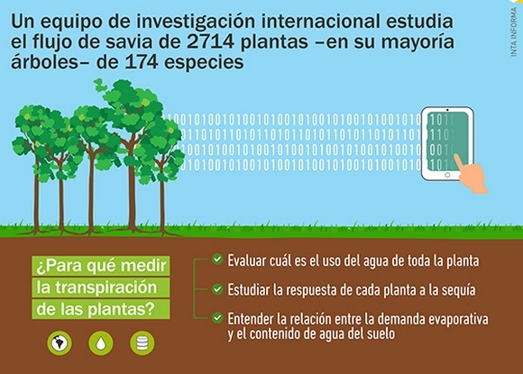 Construyen base de datos sobre transpiración de las plantas - Image 4