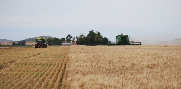 Argentina - Presentan visualizador económico para producciones agropecuarias - Image 2