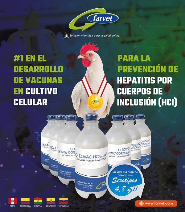 Línea de vacunas contra hepatitis por cuerpos de inclusión (HCI) - Image 1