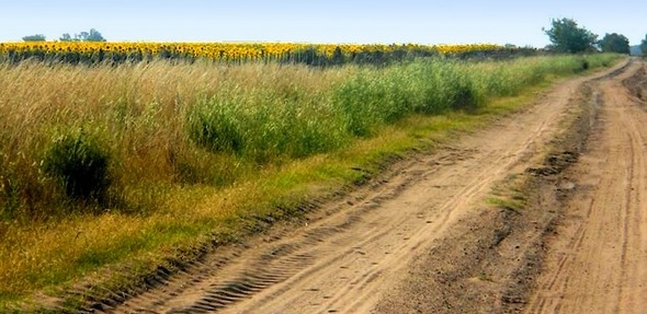 Una ‘red de redes’ para hacer la agricultura más sustentable - Image 2