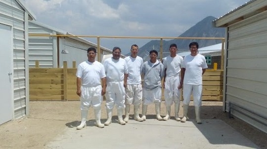 México - Proyecto de expansión 2015-2021 de Granjas Carroll - Image 3