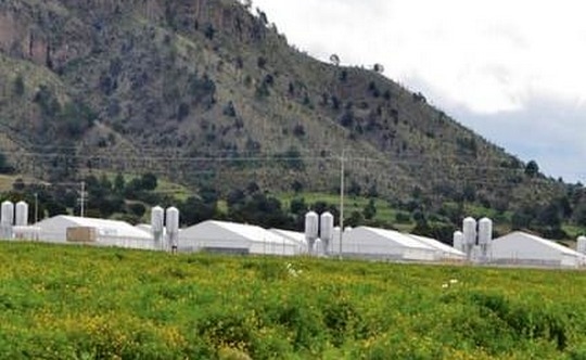 México - Proyecto de expansión 2015-2021 de Granjas Carroll - Image 1