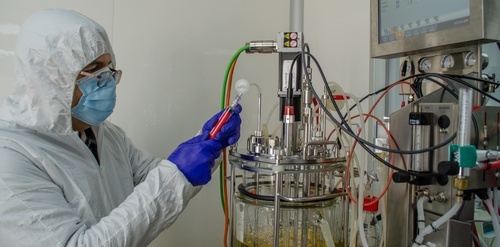 Chile - Trabajan para crear una vacuna para prevenir la Ileitis porcina - Image 1