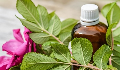 Argentina - Fitoquímicos mejoran salud y crecimiento de las aves. Caso exitoso de Granja Tres Arroyos - Image 2