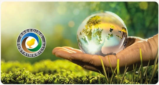 Sostenibilidad: Impacto en la huella de carbono del sector avícola global - Image 1
