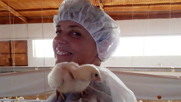 España - Cristina Sierra, nueva Jefa de Avicultura de Boehringer Ingelheim - Image 1