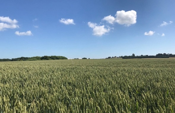 Argentina - Las enzimas, nuevas protagonistas de la bioagricultura - Image 1