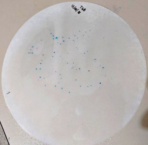 Optimización del tiempo de mezcla de alimentos balanceados a través del método de Microtracers® en la planta de alimentos balanceados de Zamorano - Image 2