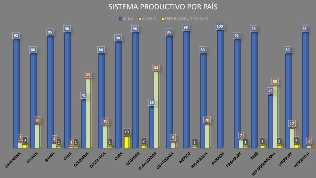 Informe del sector Ovoavícola 2021 - Región Latinoamérica - Image 1