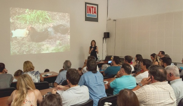 Dra Sara Shield: “La producción de huevos sin jaula es una tendencia mundial” - Image 2