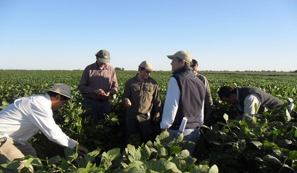 Argentina - Agricultura digital: herramientas para calibrar los equipos - Image 1