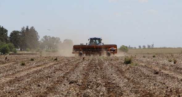 Argentina - El uso de tecnología en el campo alcanza al 90 % de las actividades - Image 3