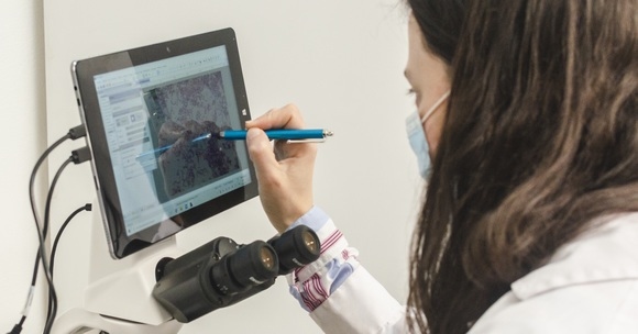 Argentina - Biotech invierte más de $ 150 millones en innovaciones para el agro - Image 2