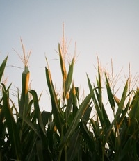 México - CONAFAB: Persistirá alza de precios de proteína de origen animal - Image 1