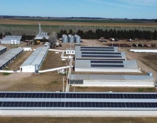 Argentina - AGRO CAS SA: Criadero de cerdos con mayor generación de energía solar - Image 1