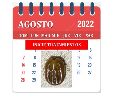 Uruguay - Comenzó la lucha contra la garrapata: temporada 2022-2023 - Image 1