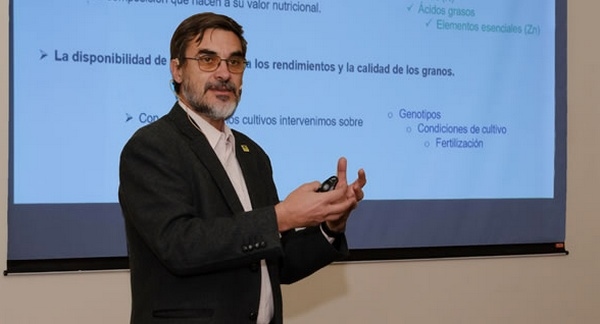 Argentina - Cultivos bien nutridos para lograr alimentos más saludables - Image 2