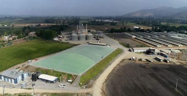 Chile - El rol clave de los purines de cerdo en el fomento de ecocombustibles - Image 1