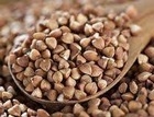 EE.UU. - Ventajas del Sorgo en la nutrición humana - Image 2