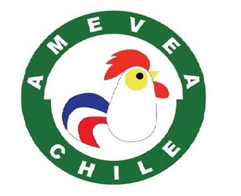 Nueva directiva de AMEVEA Chile - Image 1