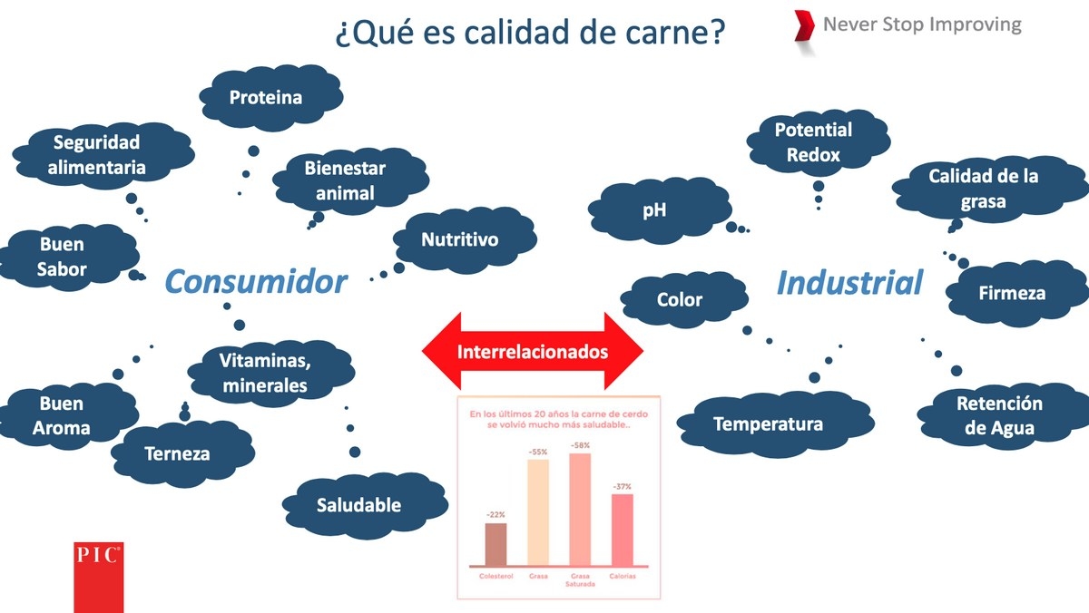 SEPOR 2022: Carne con calidad diferenciada: siguiente paso en la producción de porcino - Image 1