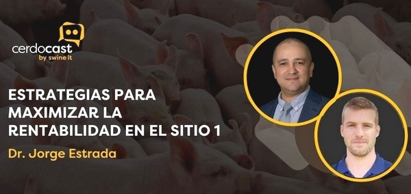 CerdoCast #72 - Maximizar la rentabilidad en sitio 1 - Image 1