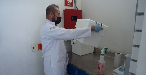 Mexico - Influenza aviar AH5N1: Inician vacunación para minizar el impacto - Image 2